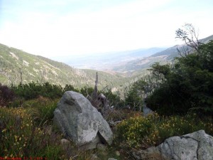 SAM_1231