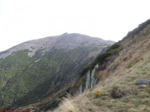 SAM_1240
