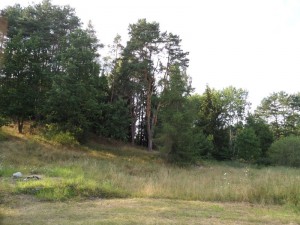 SAM_9848