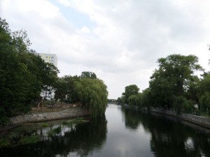 SAM_9940
