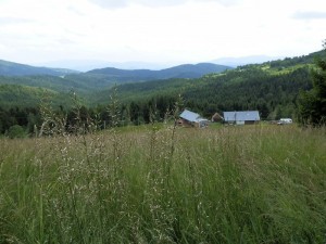 beskid wyspowy 03