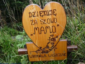 bieszcz_15