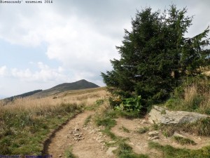 bieszcz_32