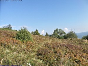 bieszcz_59