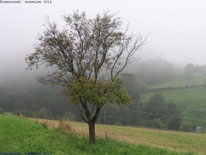 bieszcz_71