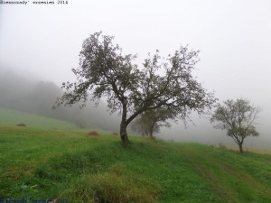 bieszcz_72