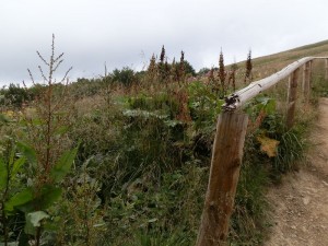 bieszczady_2015_10