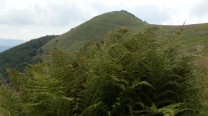 bieszczady_2015_26