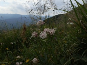 bieszczady_2015_28