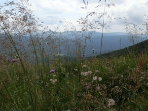 bieszczady_2015_29