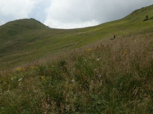 bieszczady_2015_31