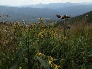 bieszczady_2015_32