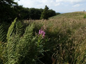 bieszczady_2015_44