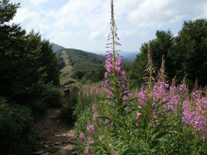 bieszczady_2015_46