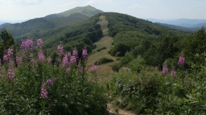 bieszczady_2015_47