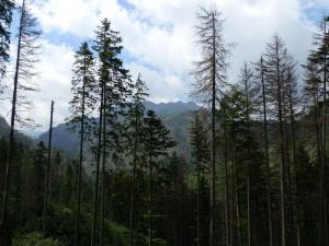 czerwone wierchy 04