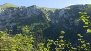 czerwone wierchy 139