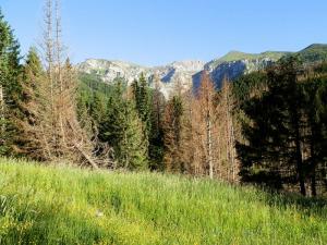 czerwone wierchy 144