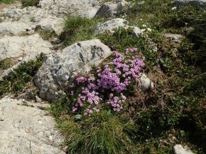 czerwone wierchy 39