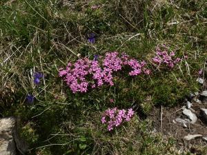 czerwone wierchy 58