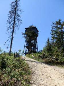 kasprowy-31