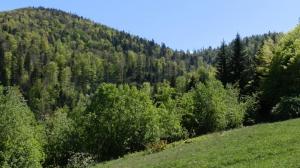 kasprowy-49