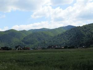koziarz 09
