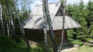 koziarz 62