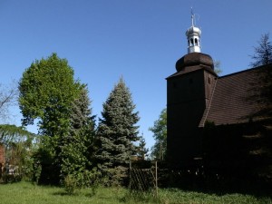 kwiaty_wiosną_26