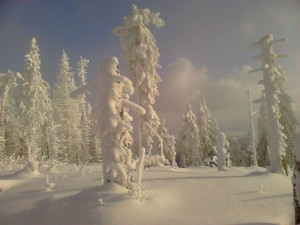 turbacz_113