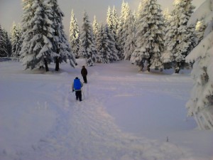 turbacz_135