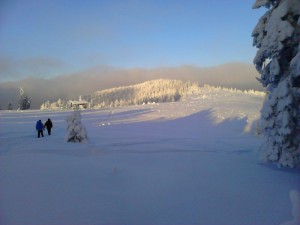 turbacz_138