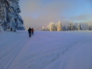 turbacz_139