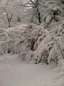 turbacz_50
