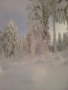 turbacz_93